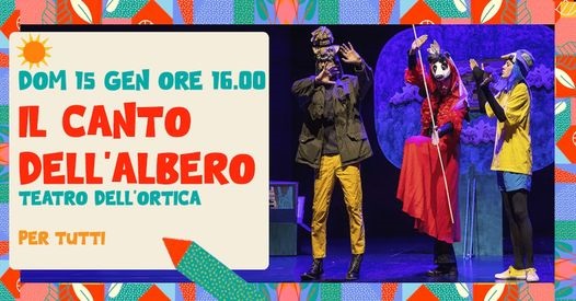 alberortica