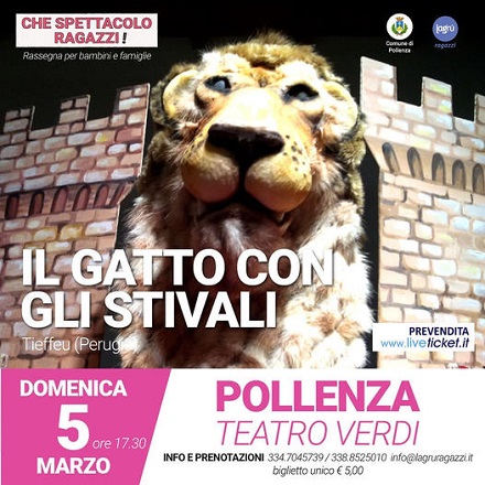 ilgatto