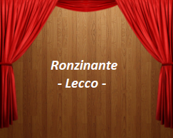 ronzinante