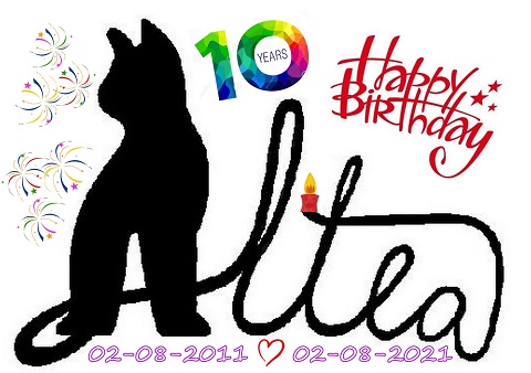 10anni