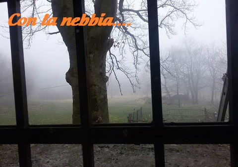 anebbia