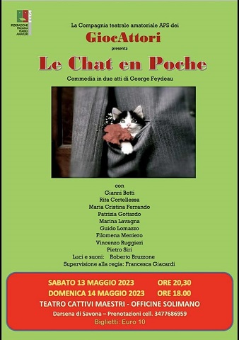 chat1