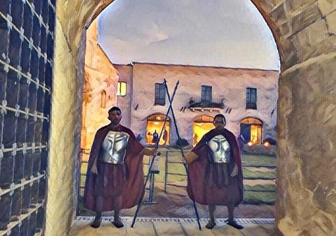 vivente1