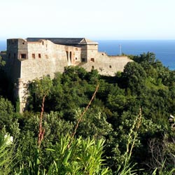 arteclaforte