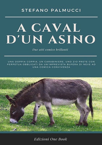 palmucciasino