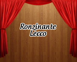 ronzinante
