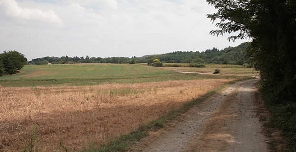 ronzibis1bis