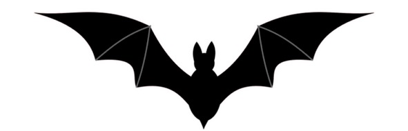 Pipistrello