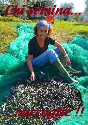 chisemina